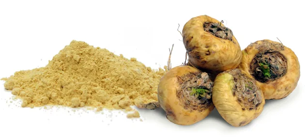 maca for power